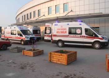 (Fotoğraf: Ali Rıza Önses / İhlas Haber Ajansı / İHA)