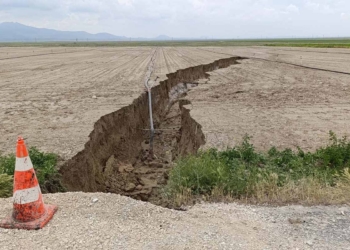 (Fotoğraf: Mehmet Okuyucu / Demirören Haber Ajansı / DHA)