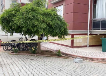 (Fotoğraf: Arda Akın Akkoca / İhlas Haber Ajansı / İHA)