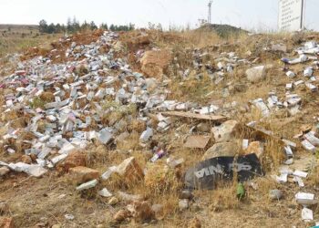 (Fotoğraf: Salih Büyüksamancı / Demirören Haber Ajansı / DHA)