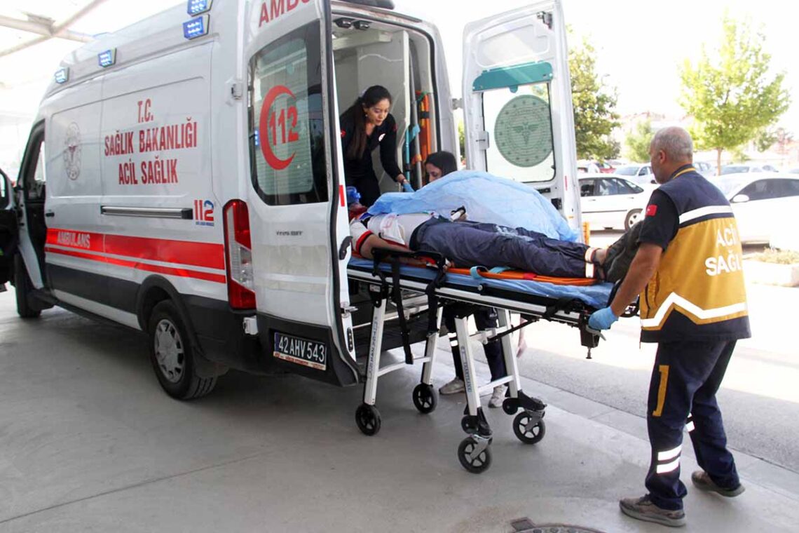 (Fotoğraf: Ali Rıza Önses / İhlas Haber Ajansı / İHA)