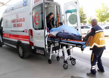 (Fotoğraf: Ali Rıza Önses / İhlas Haber Ajansı / İHA)