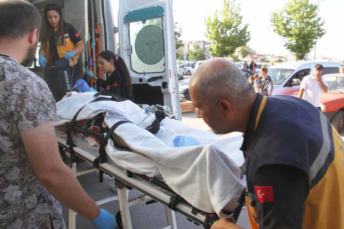 (Fotoğraf: Ali Rıza Önses / İhlas Haber Ajansı / İHA)