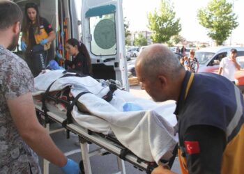 (Fotoğraf: Ali Rıza Önses / İhlas Haber Ajansı / İHA)