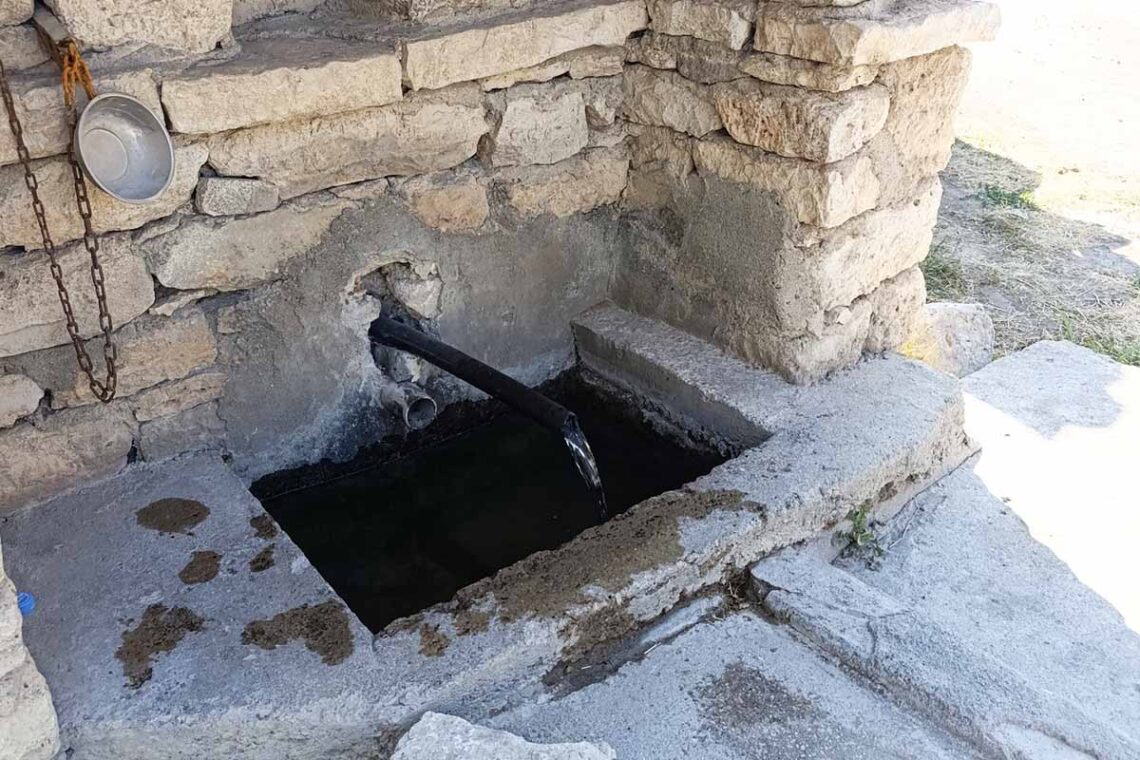 (Fotoğraf: Ali Rıza Önses / İhlas Haber Ajansı / İHA)