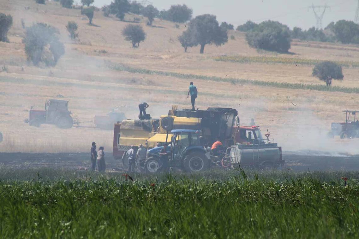 (Fotoğraf: Ali Rıza Önses / İhlas Haber Ajansı / İHA)