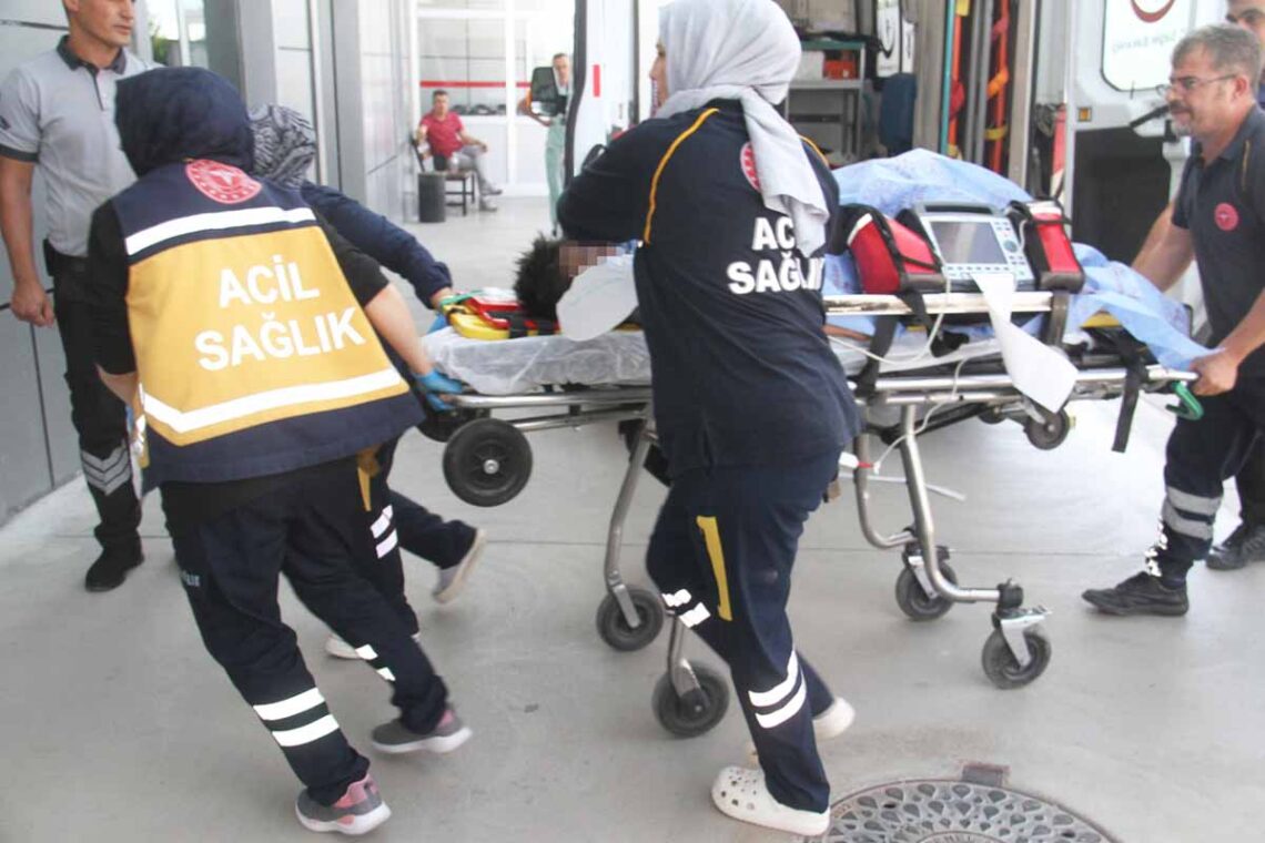 (Fotoğraf: Ali Rıza Önses / İhlas Haber Ajansı / İHA)