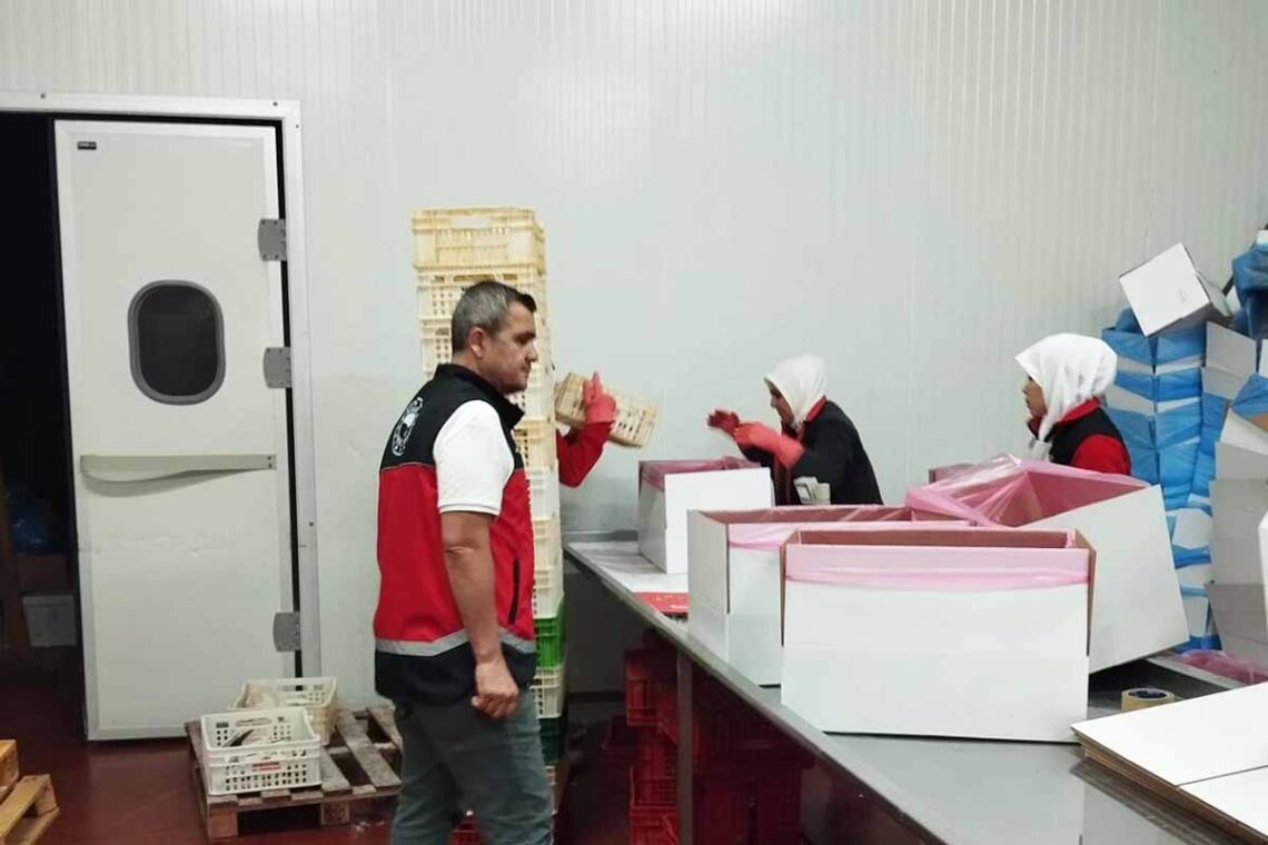 (Fotoğraf: Ali Rıza Önses / İhlas Haber Ajansı / İHA)