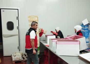 Sürdürülebilir balıkçılık: Beyşehir Gölü’nde denetimler sıklaştırıldı