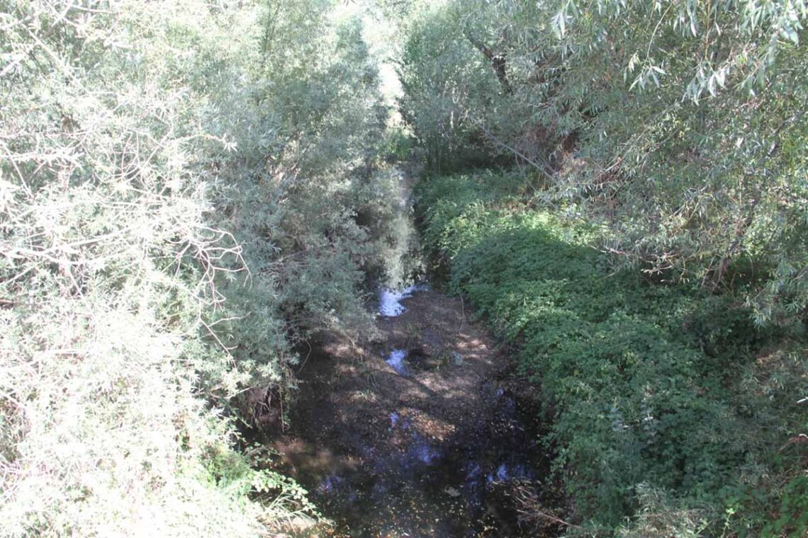 (Fotoğraf: Ali Rıza Önses / İhlas Haber Ajansı / İHA)