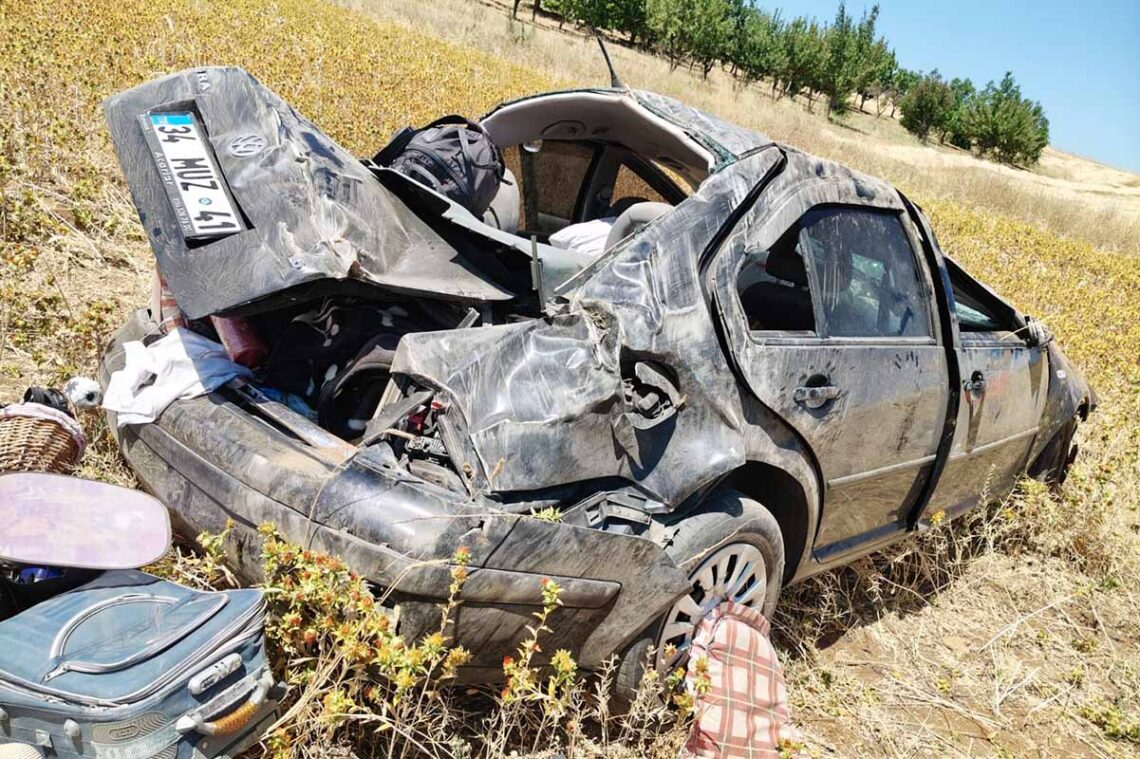 (Fotoğraf: Ali Rıza Önses / İhlas Haber Ajansı / İHA)