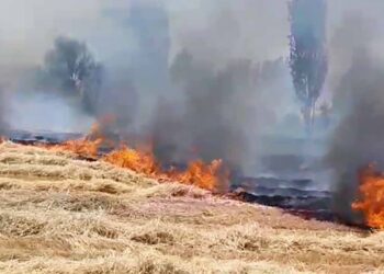 Beyşehir’in Üçpınar mahallesinde anız yangını, evlere sıçramadan söndürüldü