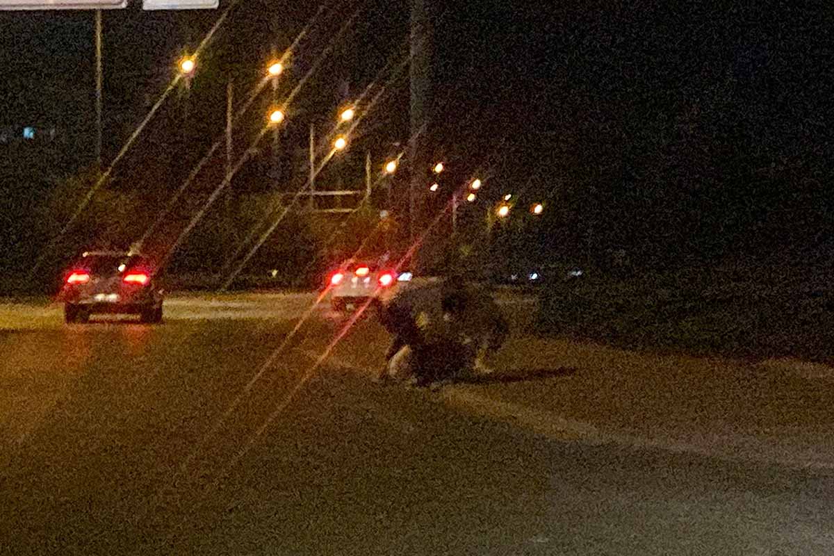 (Fotoğraf: Arda Akın Akkoca / İhlas Haber Ajansı / İHA)