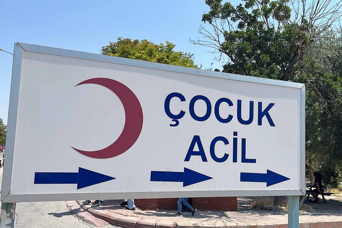 (Fotoğraf: Halil İbrahim Taha Taş / İhlas Haber Ajansı / İHA)