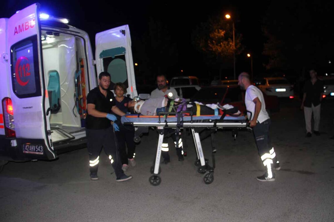 (Fotoğraf: Ali Rıza Önses / İhlas Haber Ajansı / İHA)