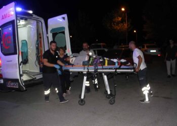 (Fotoğraf: Ali Rıza Önses / İhlas Haber Ajansı / İHA)
