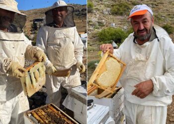(Fotoğraf: İhlas Haber Ajansı / İHA)