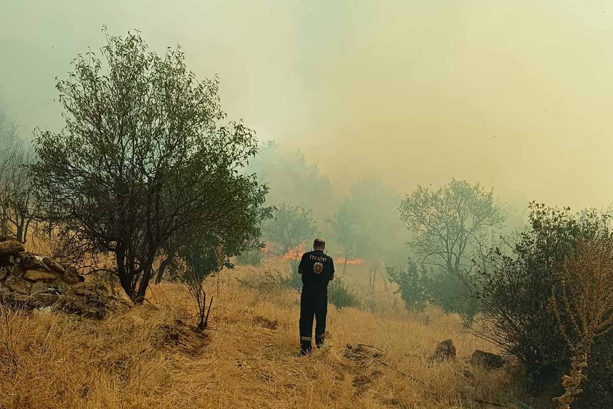 (Fotoğraf: Ali Rıza Önses / İhlas Haber Ajansı / İHA)