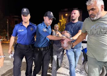 (Fotoğraf: İbrahim Yetkin / İhlas Haber Ajansı / İHA)
