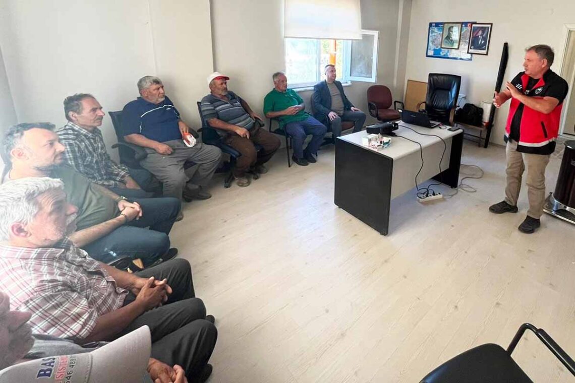 (Fotoğraf: Ali Rıza Önses / İhlas Haber Ajansı / İHA)