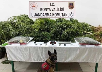 (Fotoğraf: Demirören Haber Ajansı / DHA)