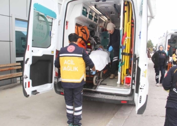 (Fotoğraf: Ali Rıza Önses / İhlas Haber Ajansı / İHA)