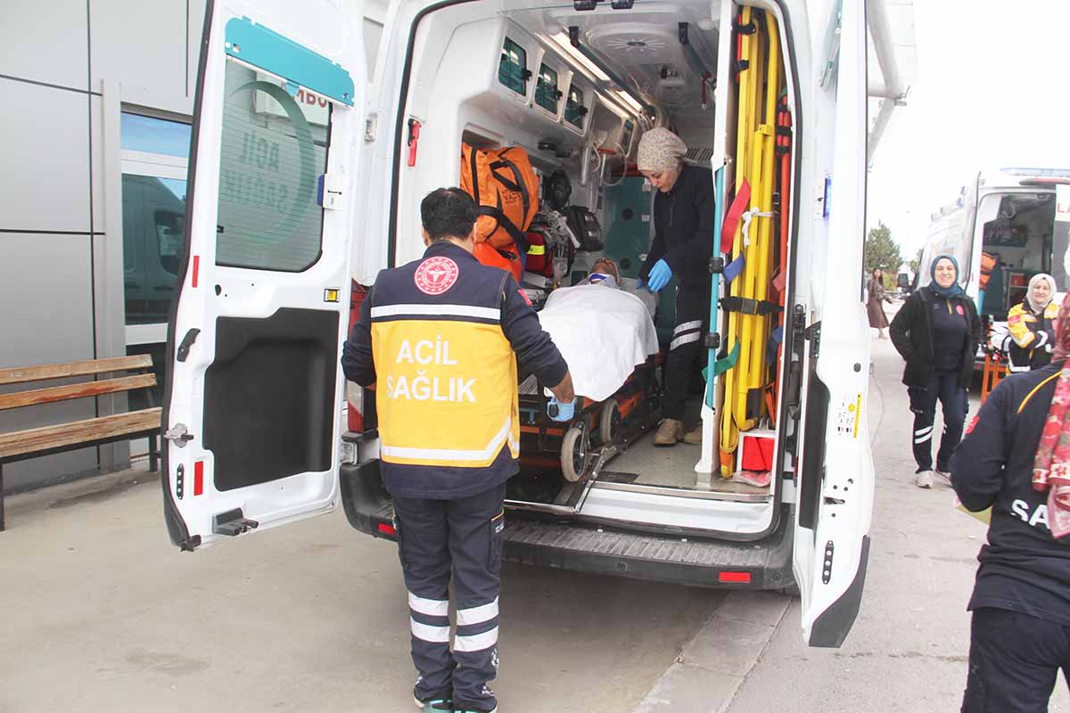 (Fotoğraf: Ali Rıza Önses / İhlas Haber Ajansı / İHA)
