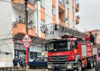 Beyşehir’de telefon direğinde mahsur kalan kedi, itfaiye ekiplerinin merdivenle müdahalesiyle güvenli şekilde indirildi.