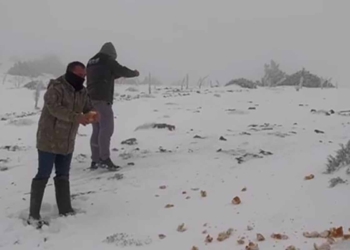 Fotoğraf: