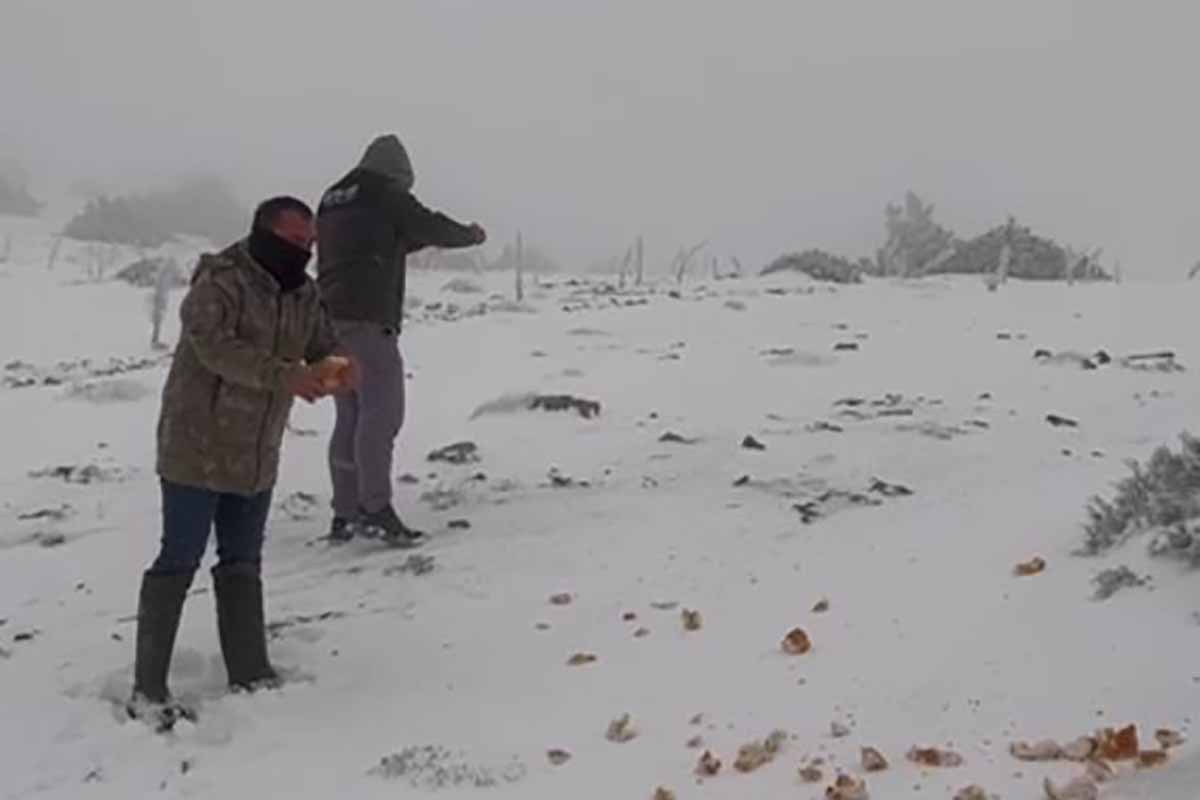 Fotoğraf: