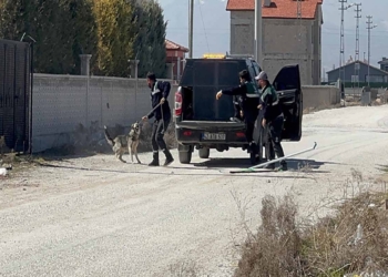 Köpek saldırısında ölen Rana için belediyelere soruşturma izni