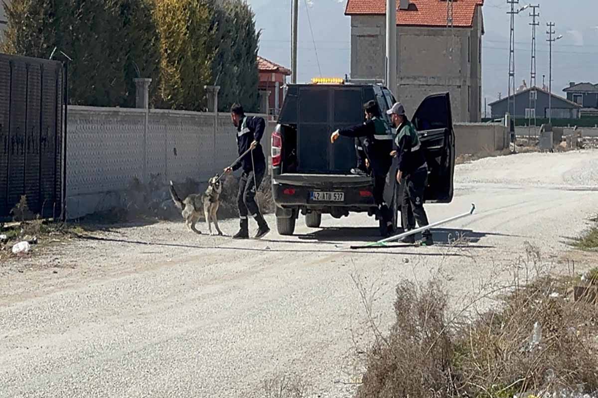 FOTOĞRAF: Salih BÜYÜKSAMANCI/KONYA, (DHA)
