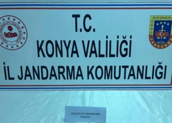 FOTOĞRAF: İHA