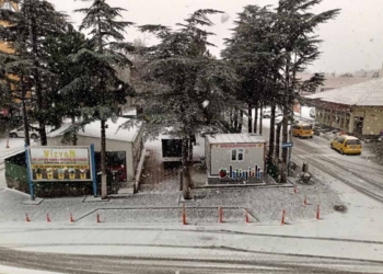 FOTOĞRAF: Ali Rıza Önses
KONYA (İHA)