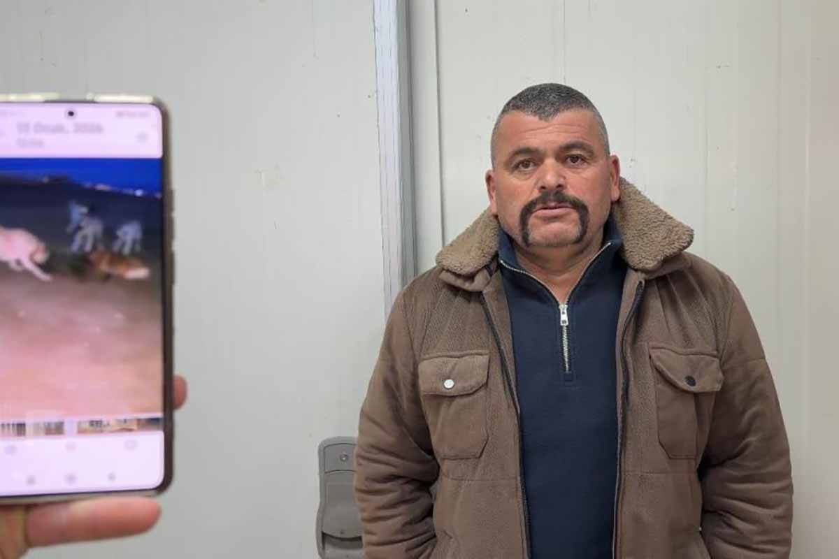 fotoğraf: İHA