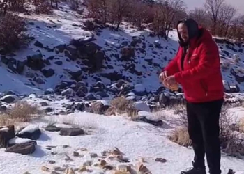 Karapınar’da kar yağışı yaban hayvanlarını zorladı