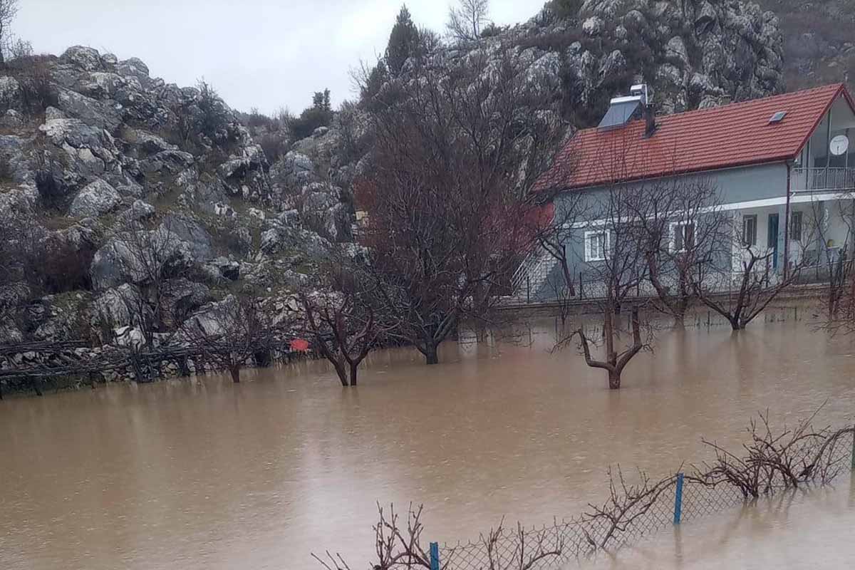 Fotoğraf: Ali Rıza Önses / İHA