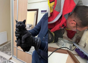 Konya’da apartman bacasına giren kedi 6 saat sonra kurtarıldı