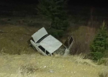 Seydişehir’de domuza çarpan otomobil şarampole yuvarlandı: 1 Ölü