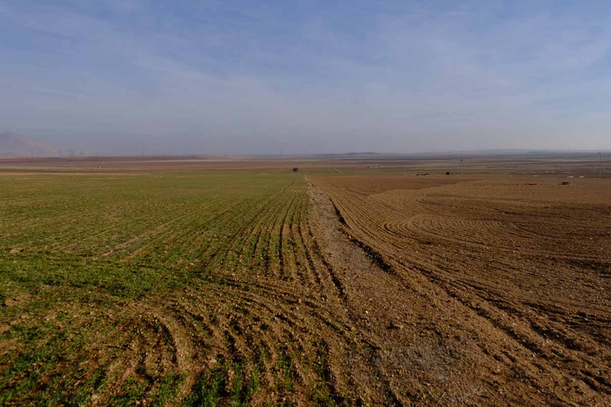 Fotoğraf: Salih BÜYÜKSAMANCI / DHA