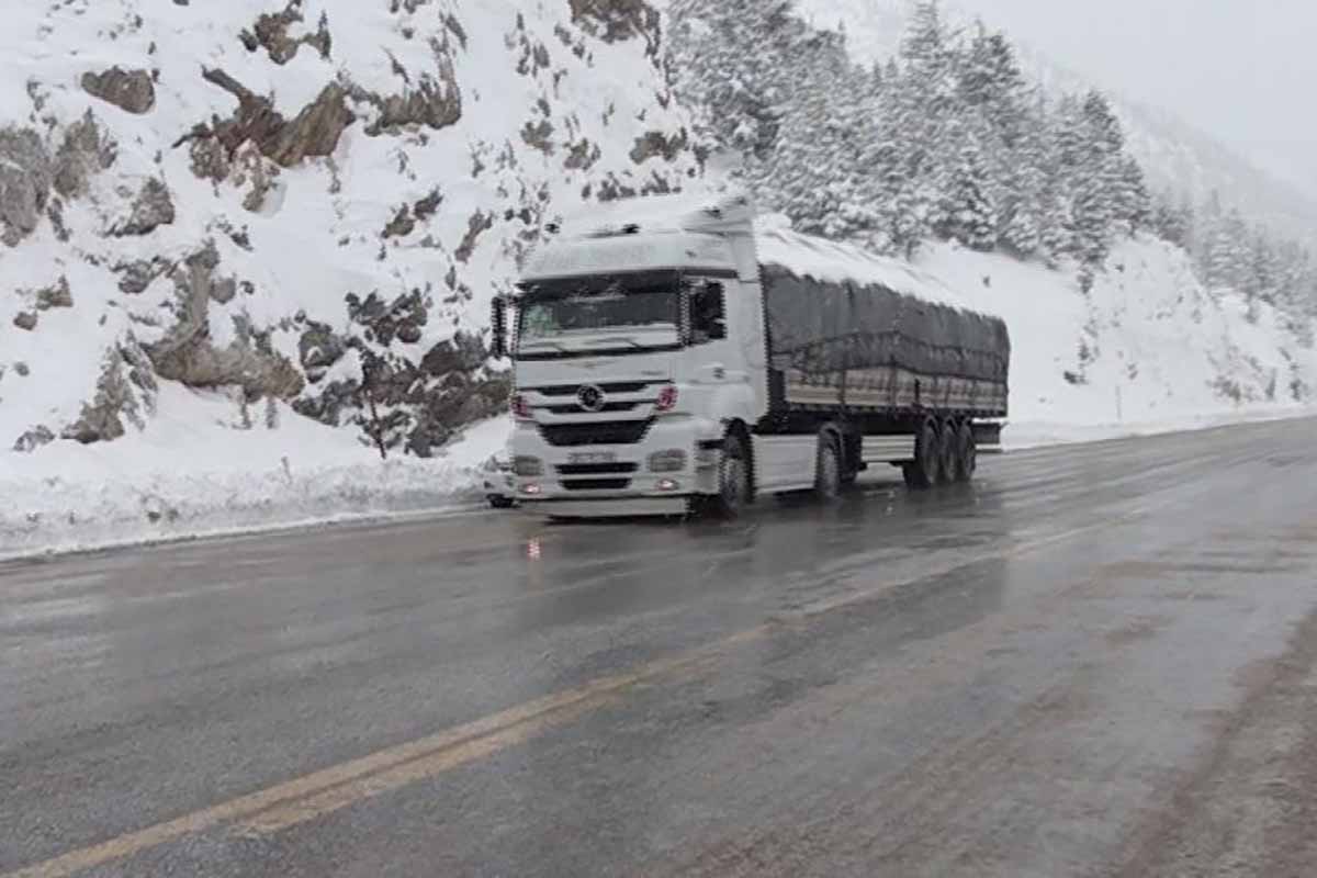 fotoğraf: Ayşe Çatlı/ İha