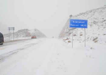 (Fotoğraf: Ayşe Çatlı / İhlas Haber Ajansı / İHA)