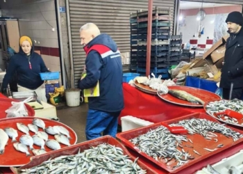 Beyşehir’de su ürünleri denetlendi