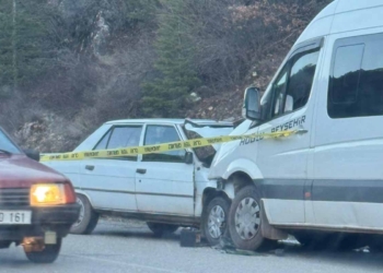 (Fotoğraf: Ali Rıza Önses / İhlas Haber Ajansı / İHA)