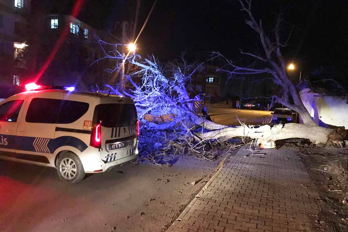 (Fotoğraf: Cihan Karakış / İhlas Haber Ajansı / İHA)