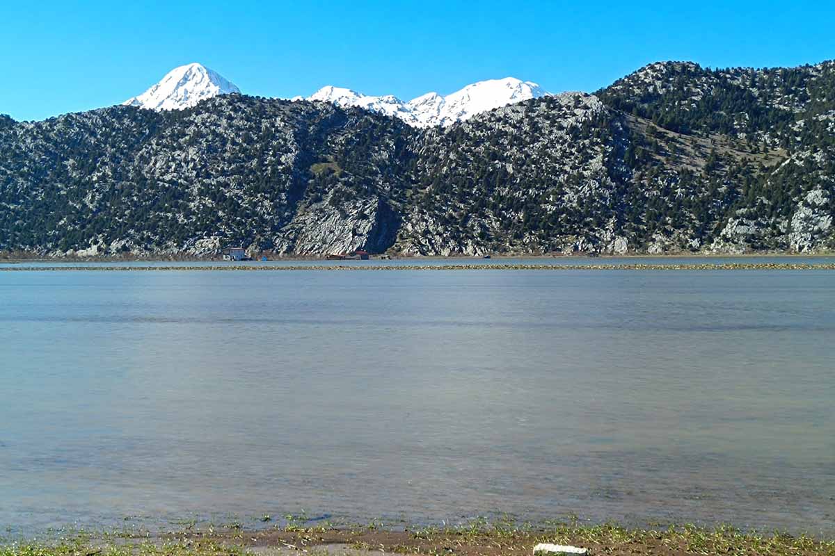 Fotoğraf: Ali Rıza Önses / İHA