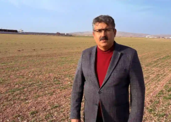 Selçuk’ta azalan su kaynaklarına karşı sorgum hamlesi