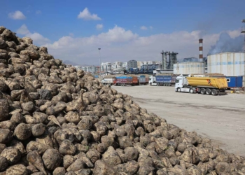 Konya şeker 12,7 milyar TL’lik pancar bedelini üreticilere ödüyor