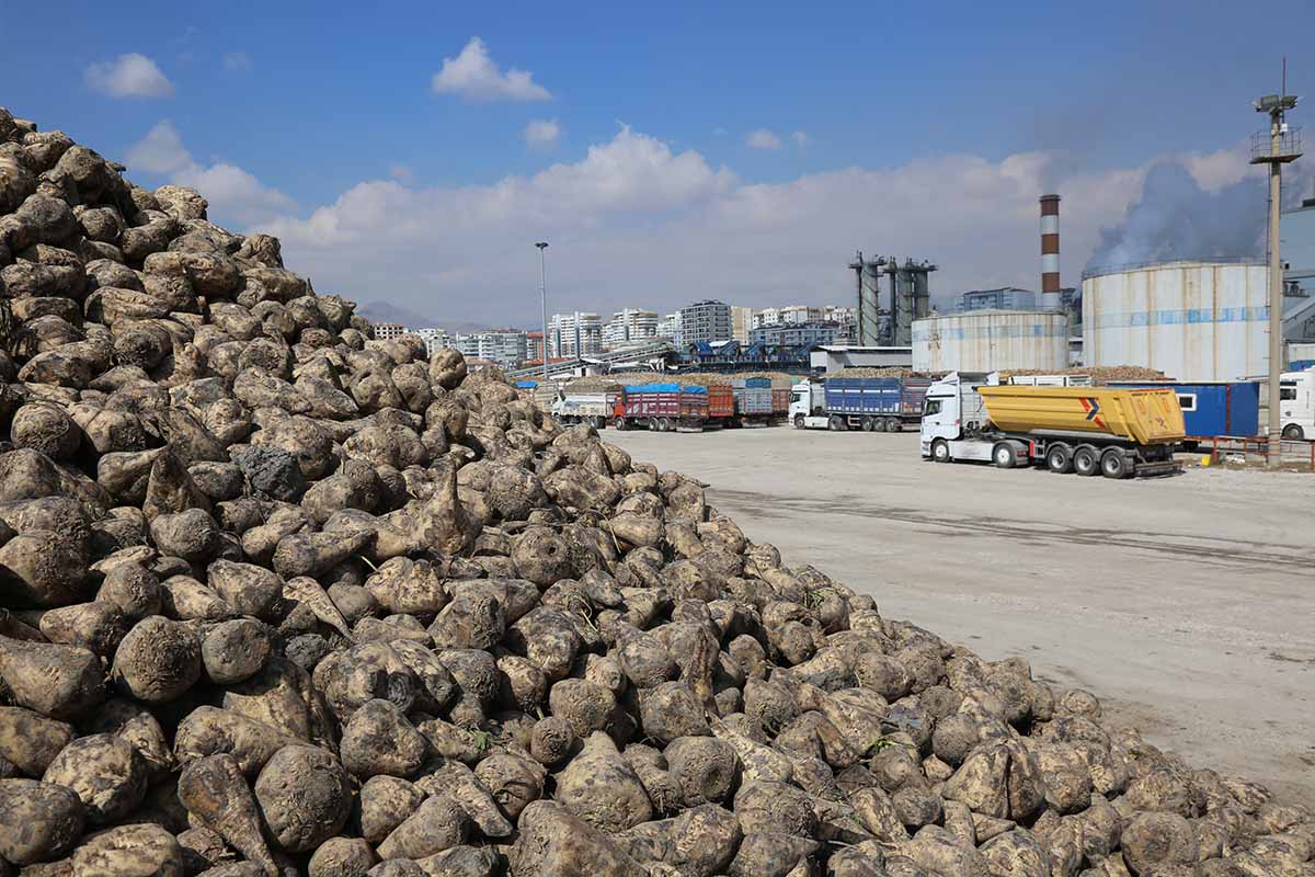 Fotoğraf: DHA