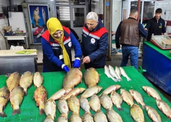 Beyşehir Gölü’nde avcılık denetleniyor
